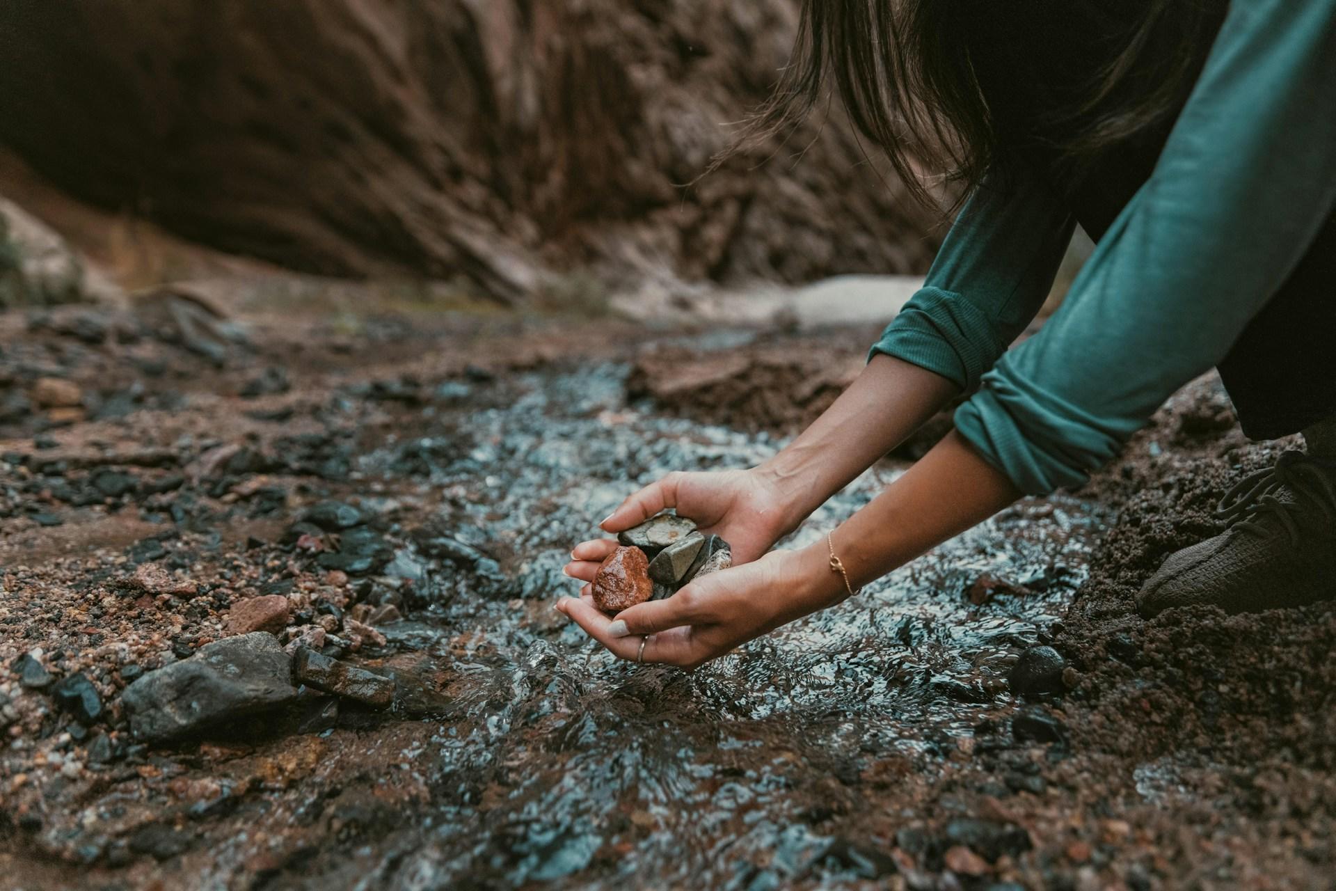 person holding soil