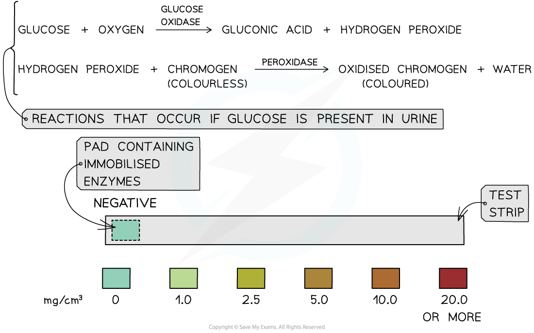 Measuring urine glucose concentration