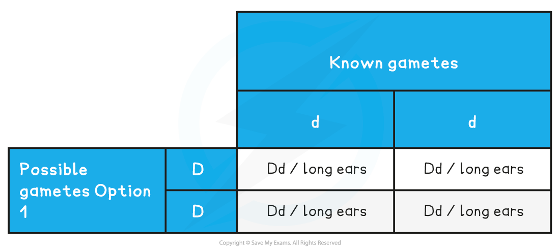 Test Cross Possibility One Table