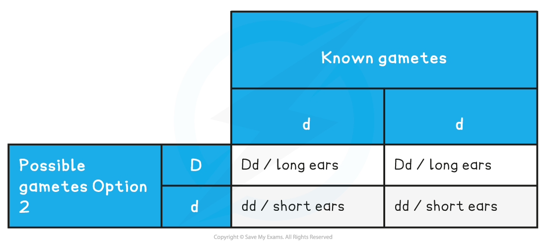 Test Cross Possibility Two Table
