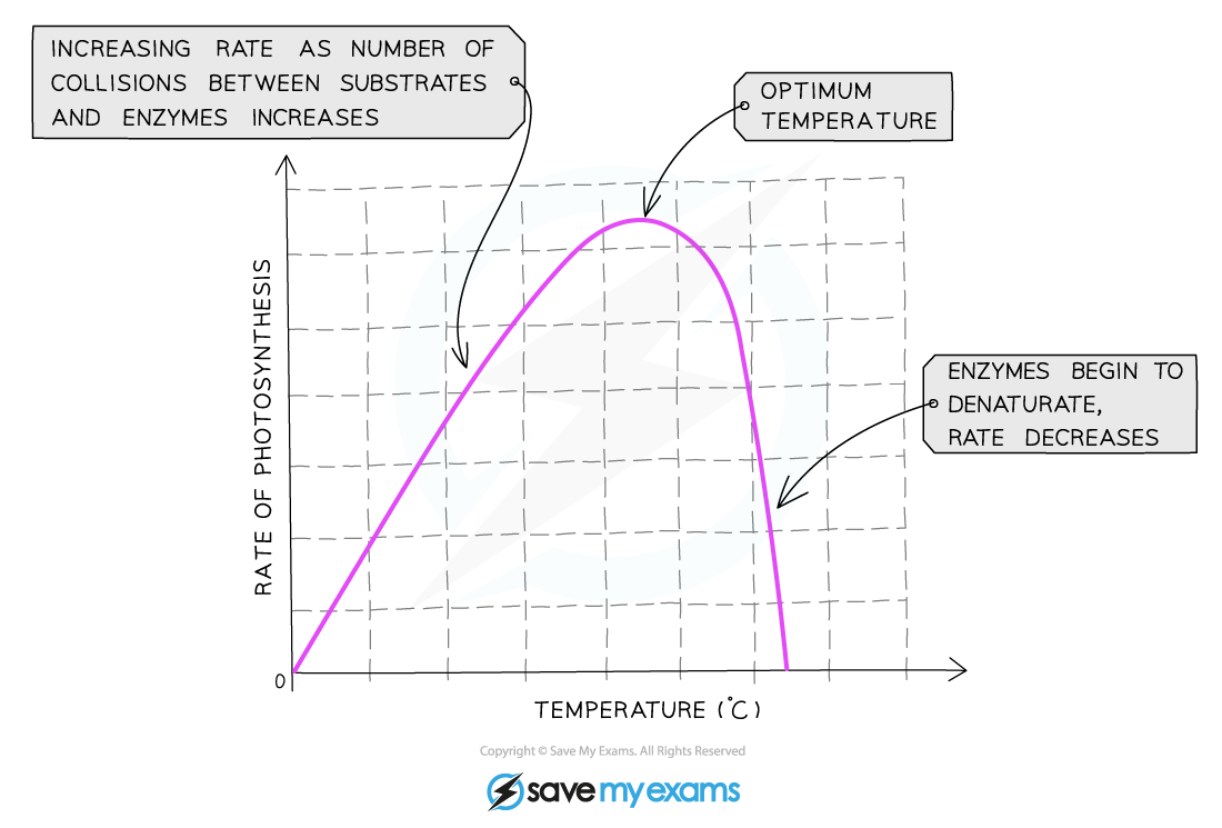 The effect of temperature on the rate of photosynthesis