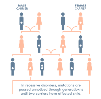 Genetic Screening of Recessive Disorders