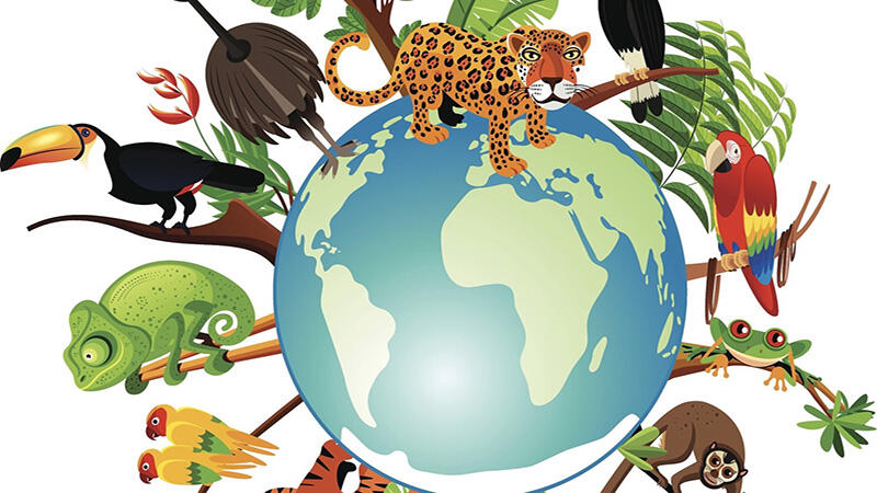 The importance of biodiversity for our own safety 