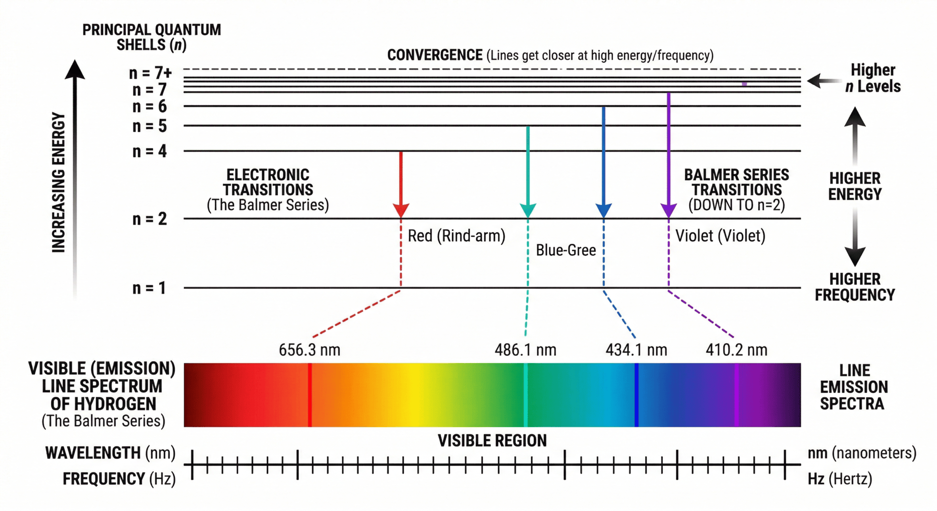 Line emission spectra of hydrogen illustrating principal qunatum shell, convergence, balmer series transitions, frequency and energy