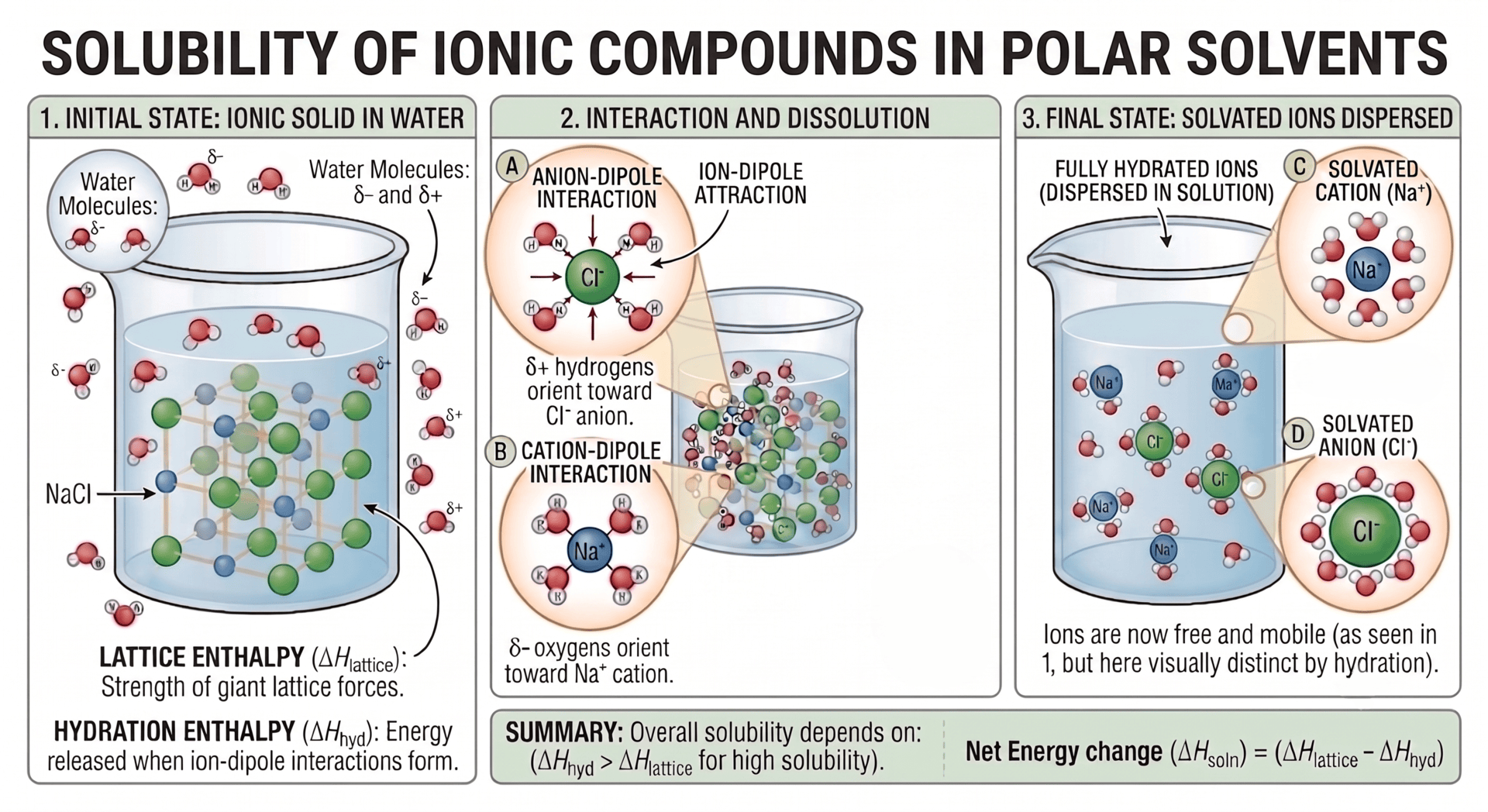 Illustration of the solubility of ionic compounds in polar solvents and hydration by water molecules