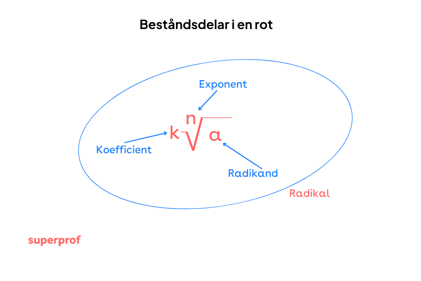 Besåndsdelar i en rot