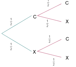 Diagrama de arbol con dos resultados por rama y sus probabilidades