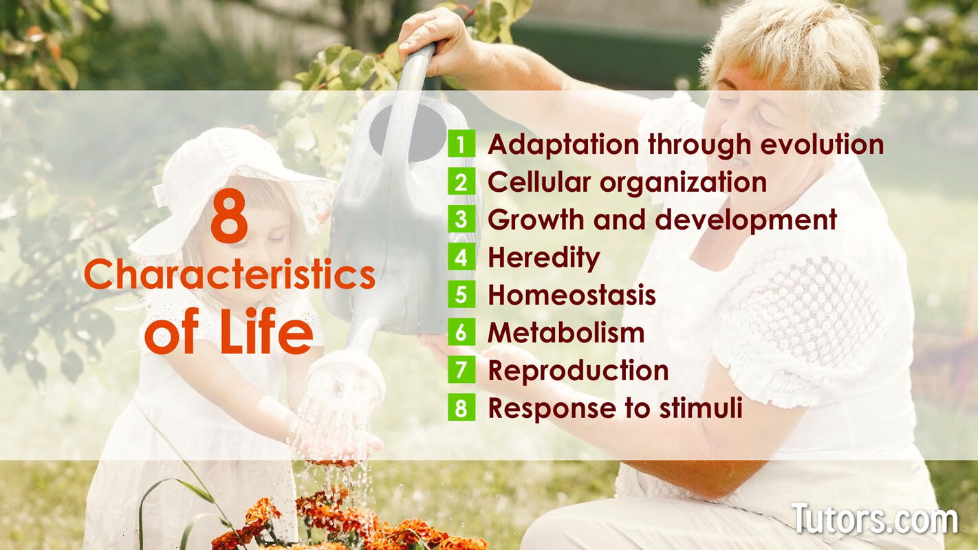 8 characteristics of life