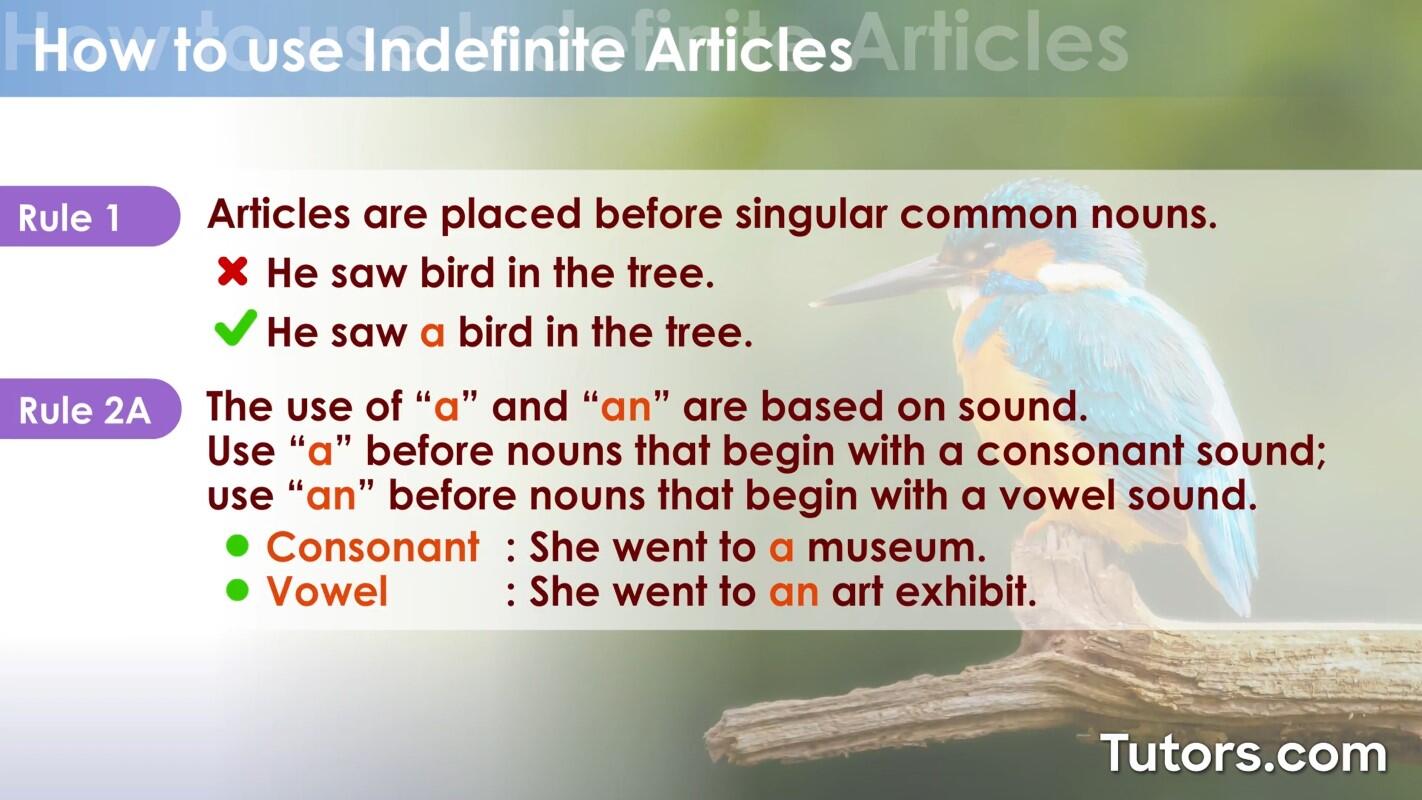 How to use indefinite articles