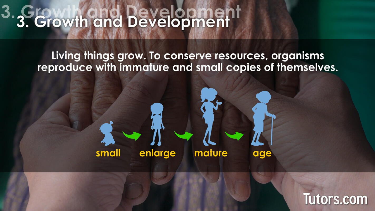 Characteristics of life growth and development