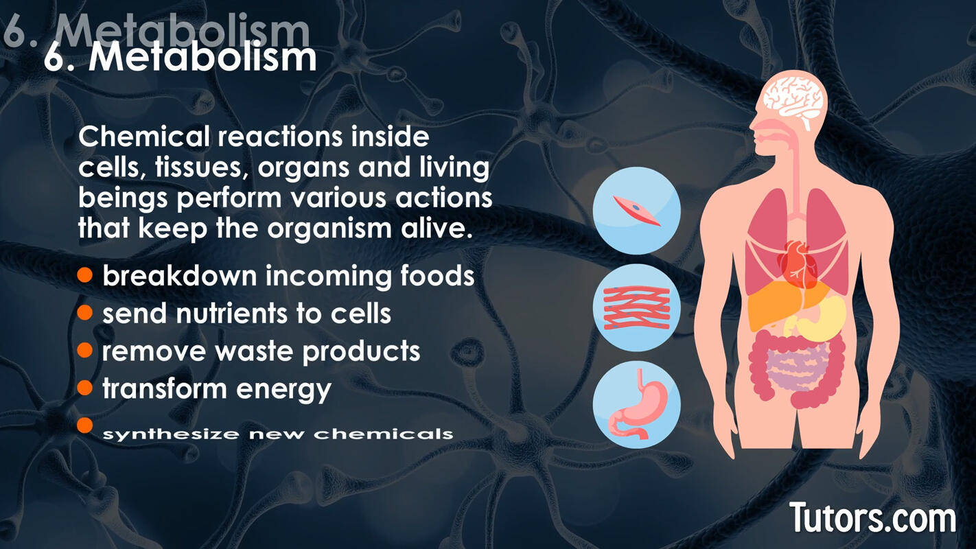 Characteristics of life metabolism