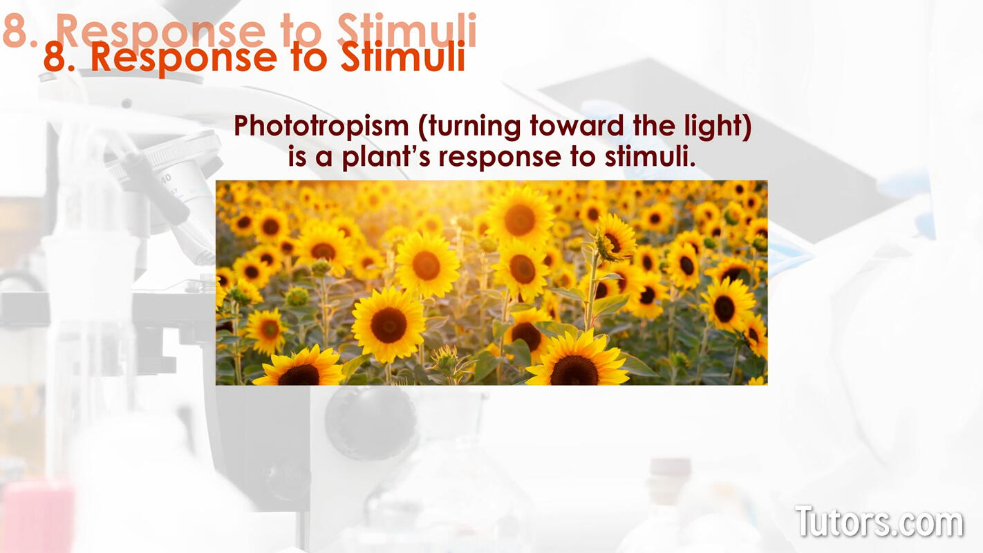 Characteristics of life response to stimuli