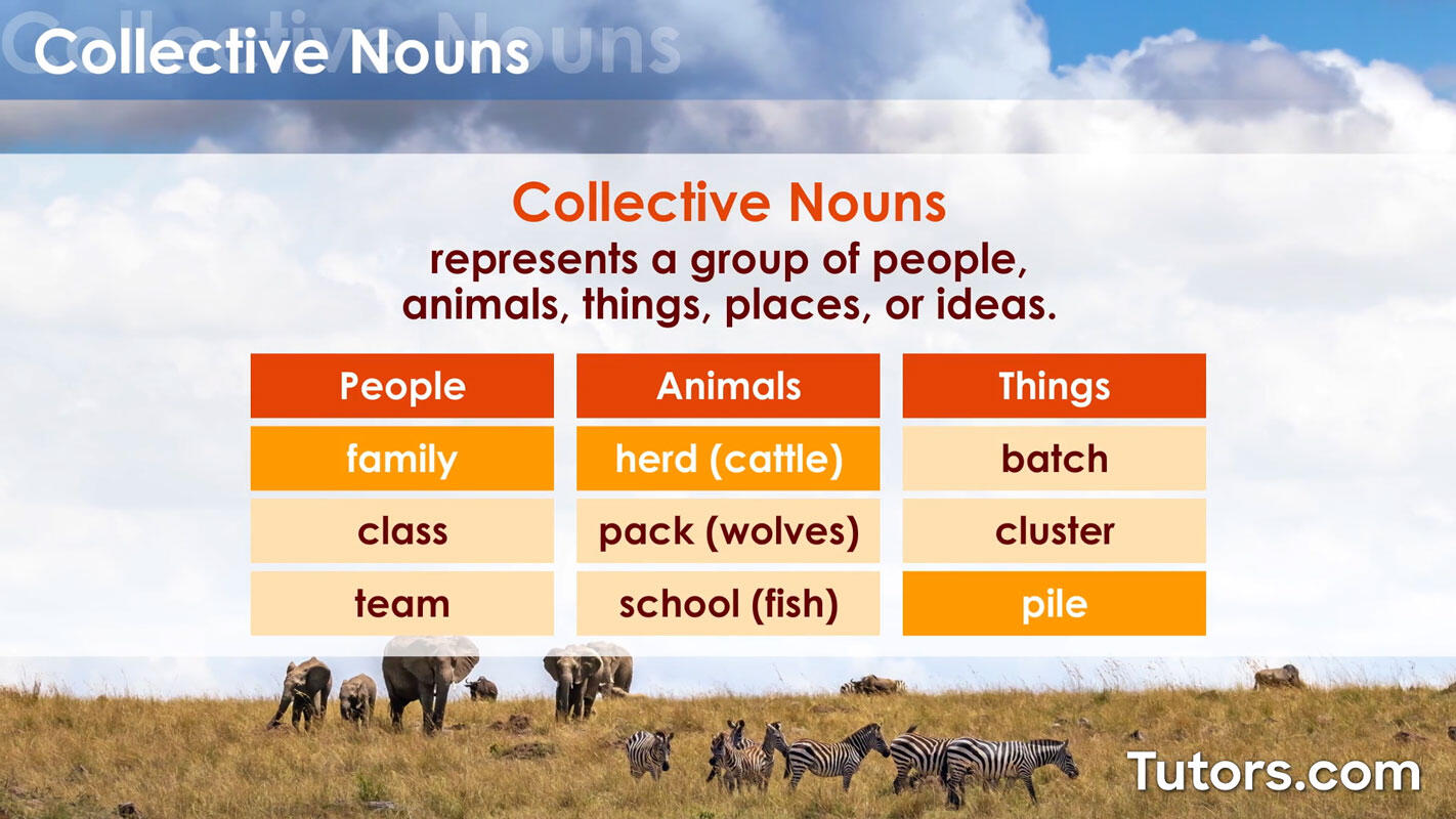Collective nouns