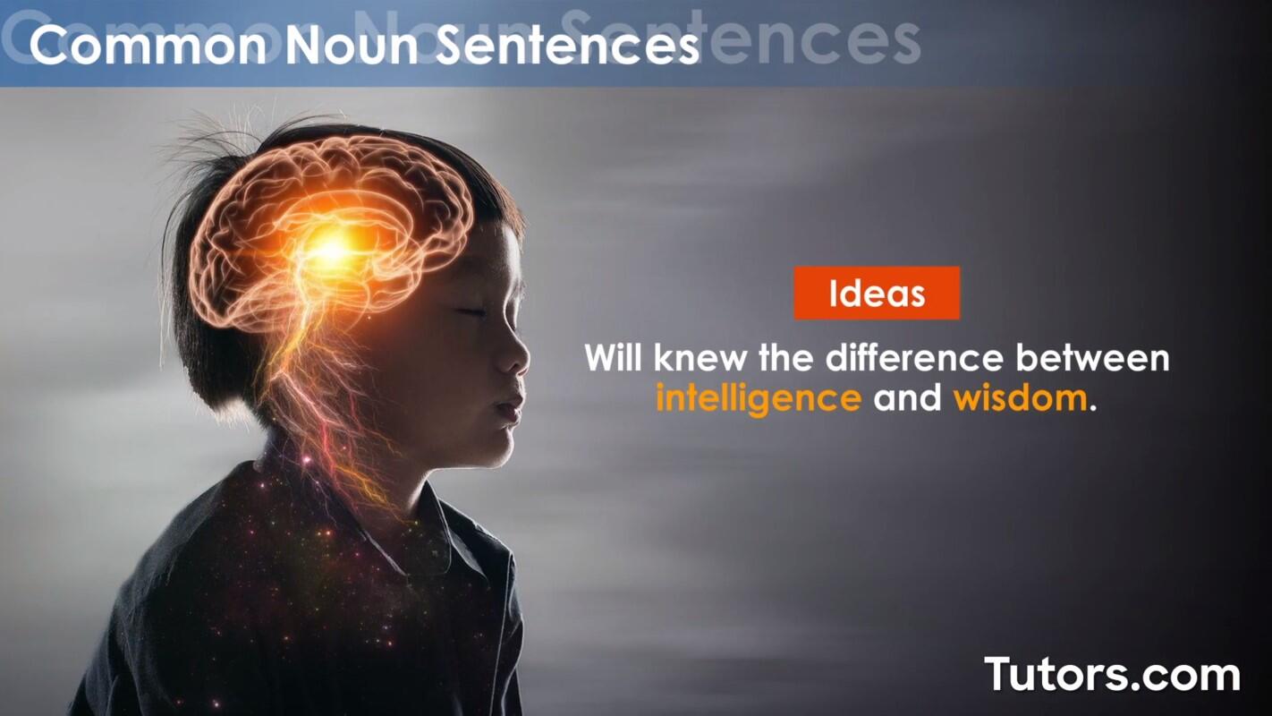 Common noun example