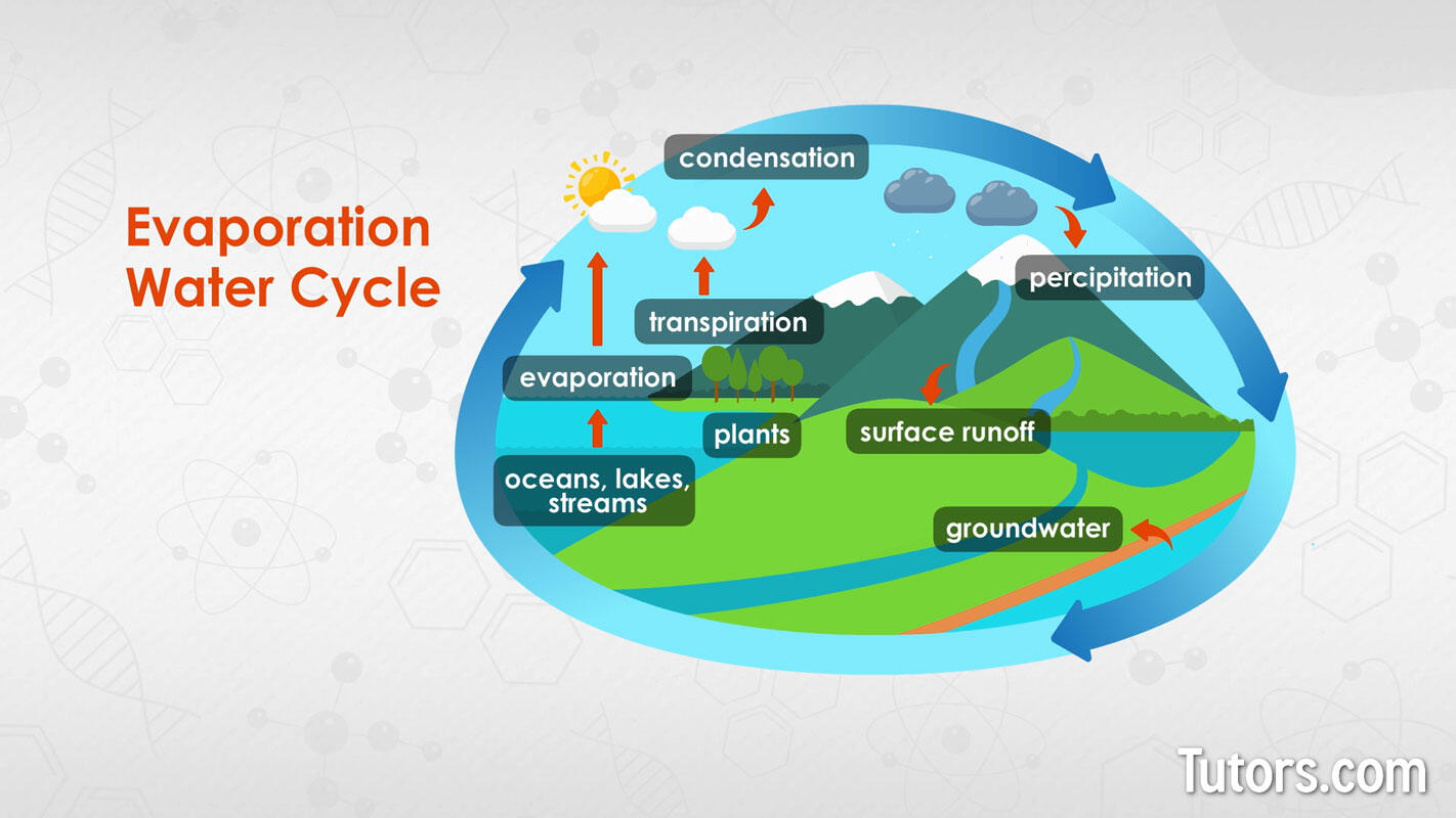 Evaporation water cycle diagram