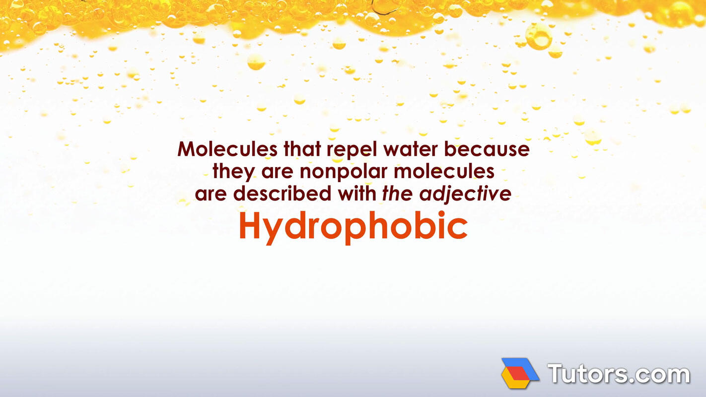 Hydrophobic definition