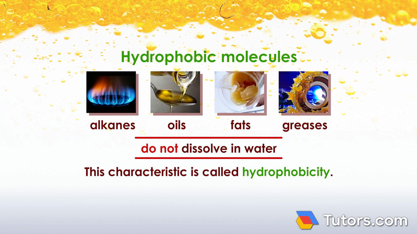 Hydrophobic molecules
