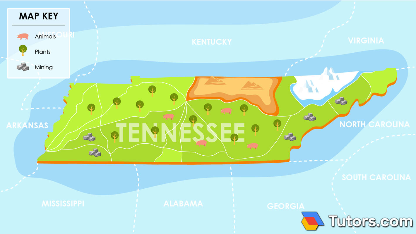 Map key example - Plants, animals, and minerals