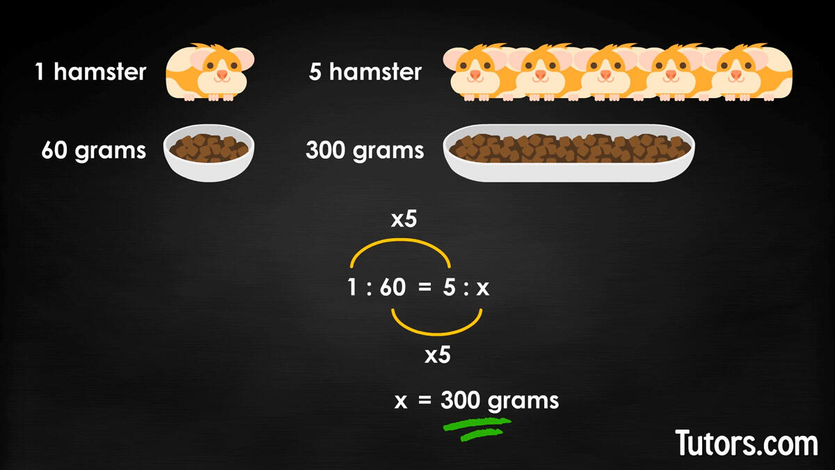 Ratios & Proportions - Finding the proper ratio