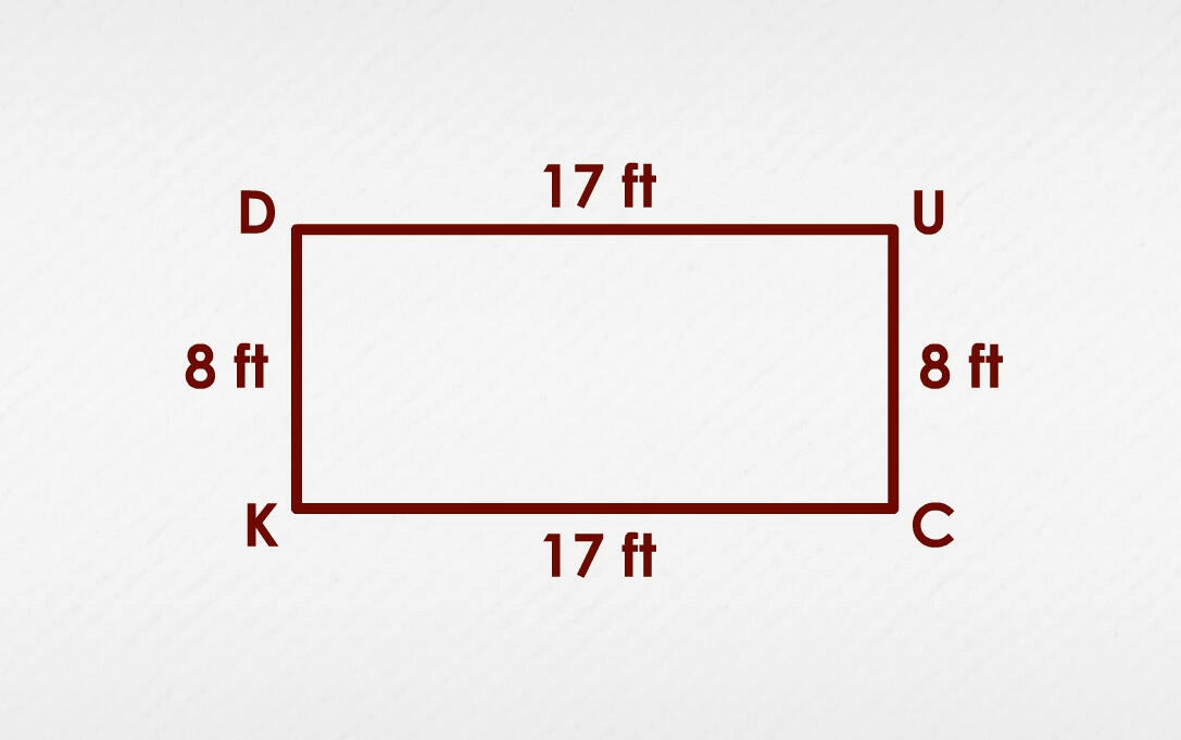 Rectangle DUCK