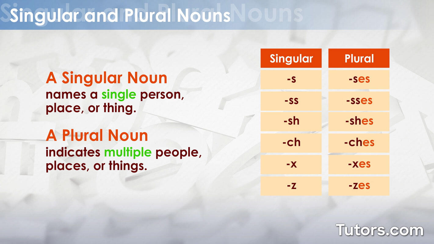 Singular and plural noun types