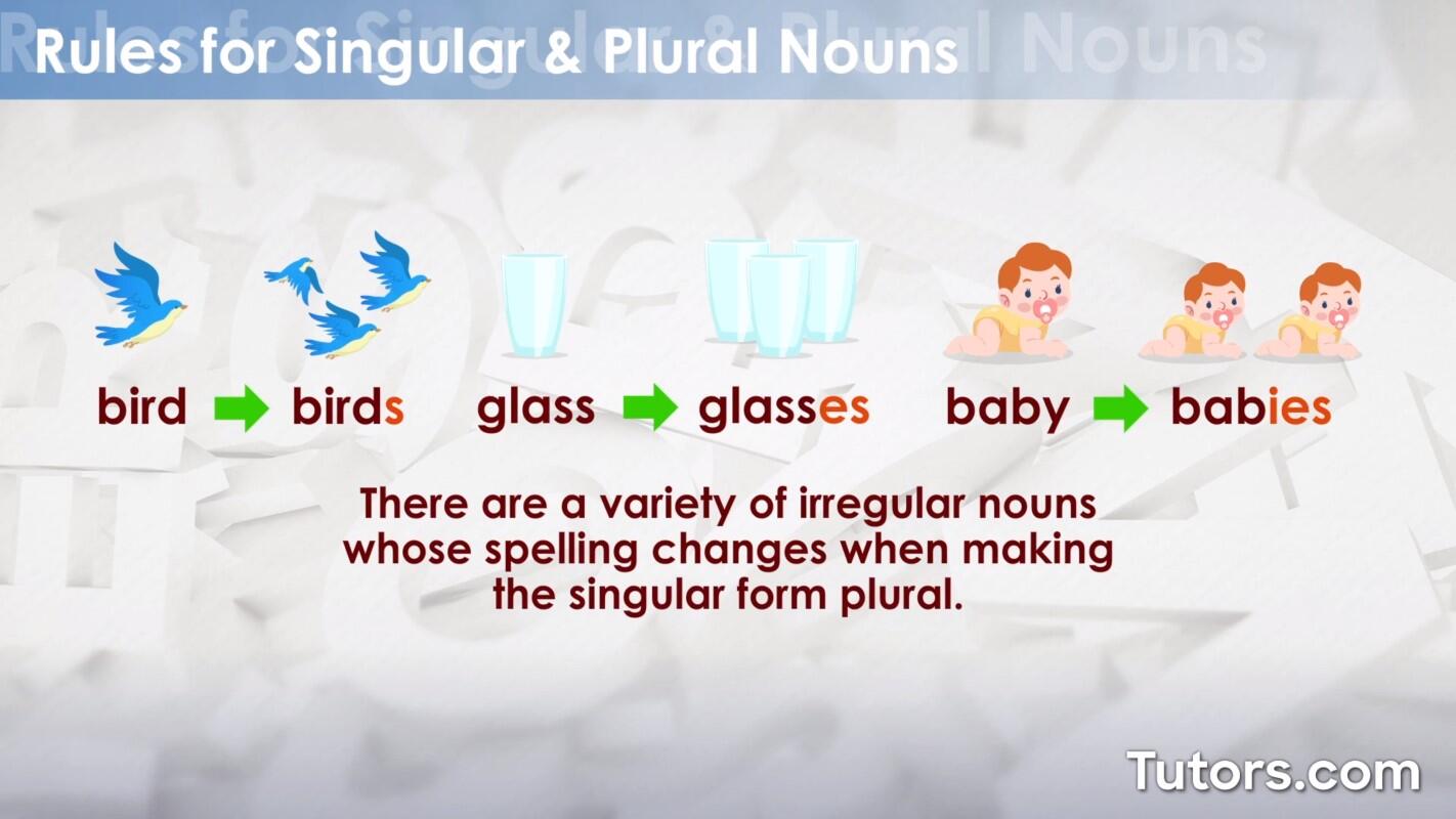 Rules for singular and plural nouns