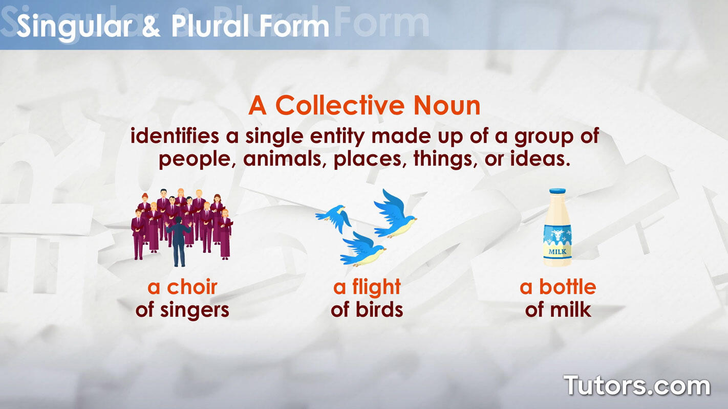 Collective noun definition