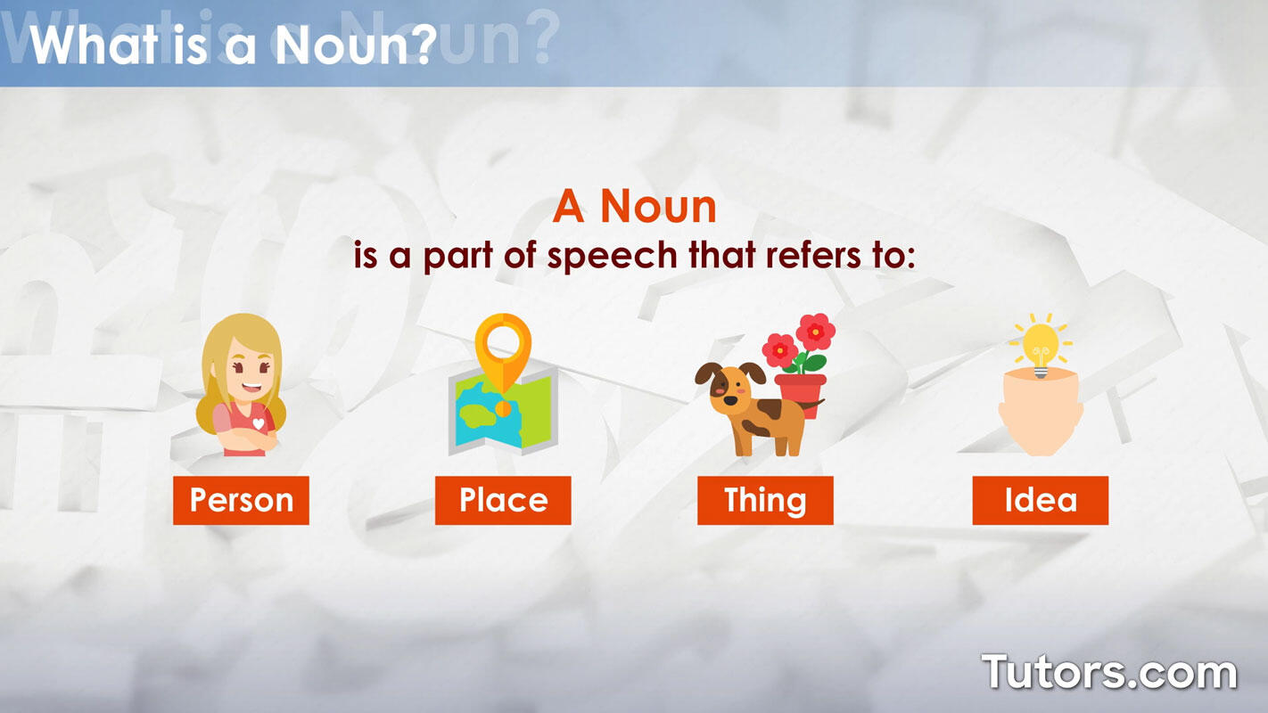 What is a noun