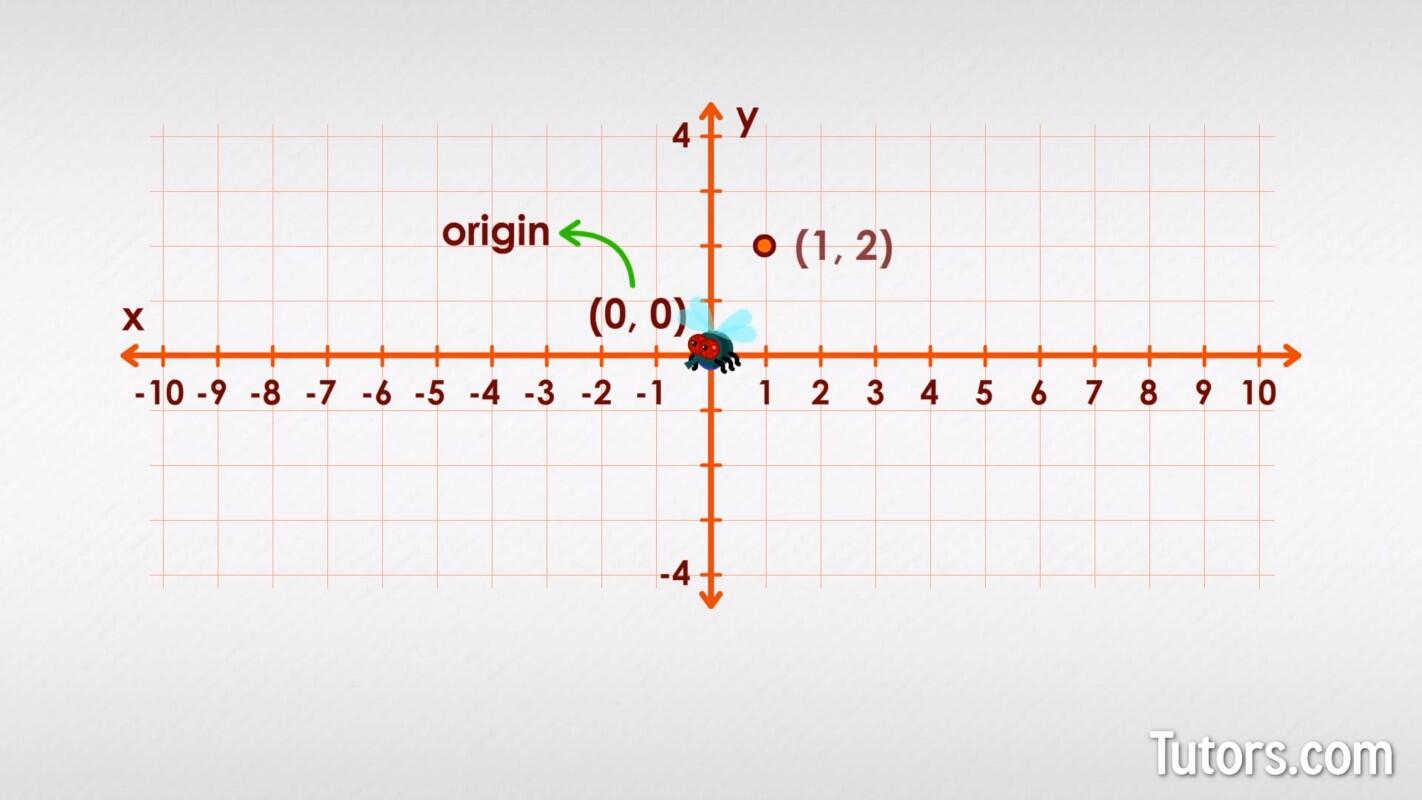 Coordinate grid