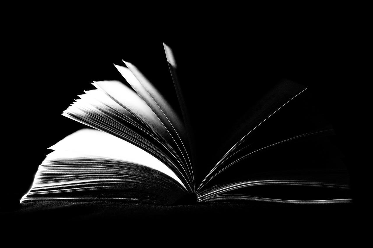 You will likely have to read a good number of books if you want to study physics at university.
