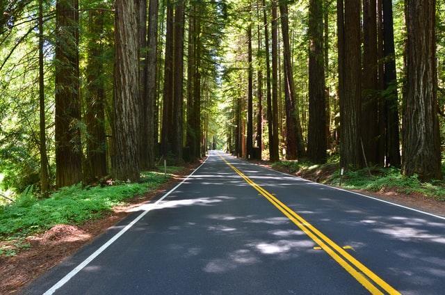 Reward yourself with experiences rather than possessions