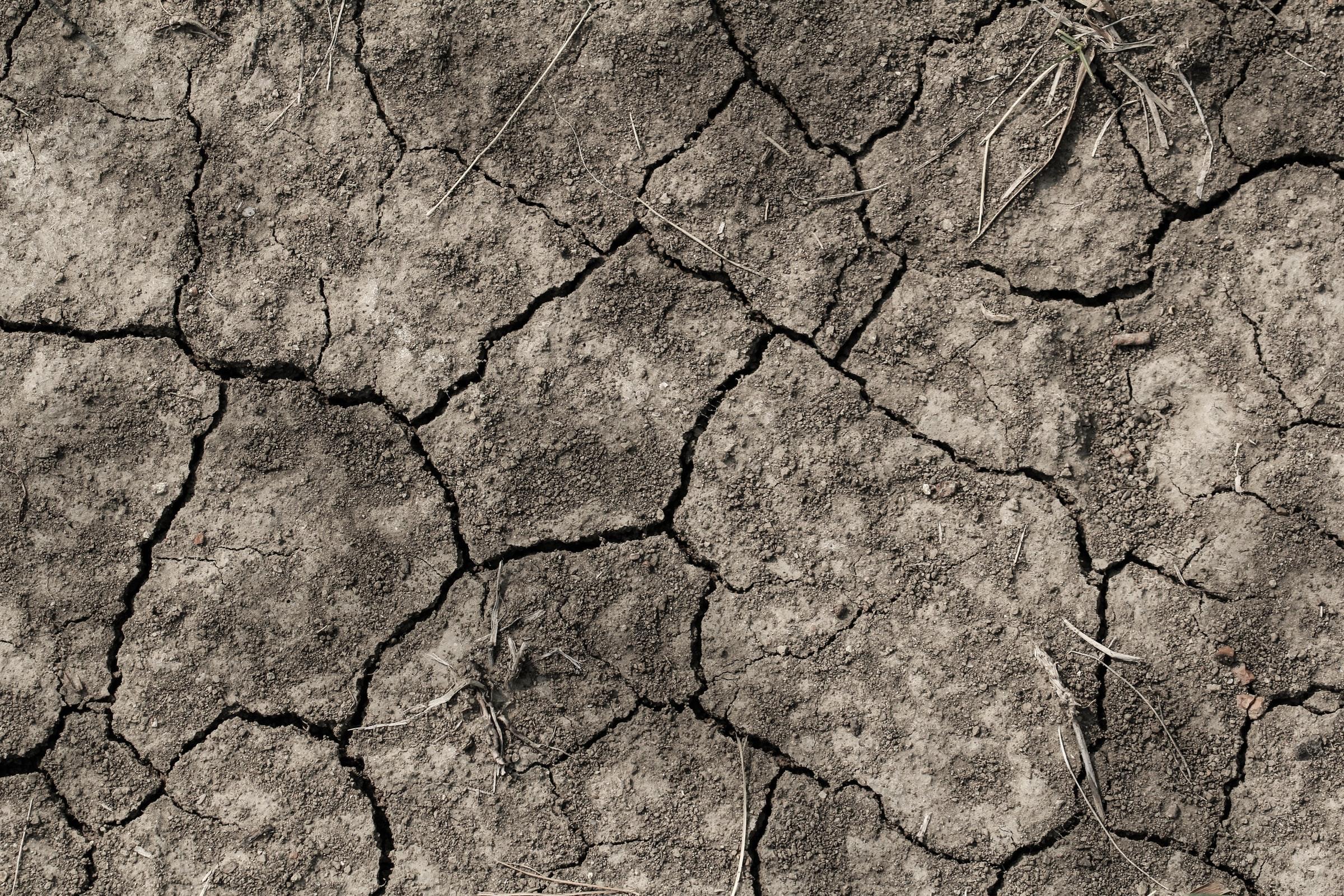 dry conditions