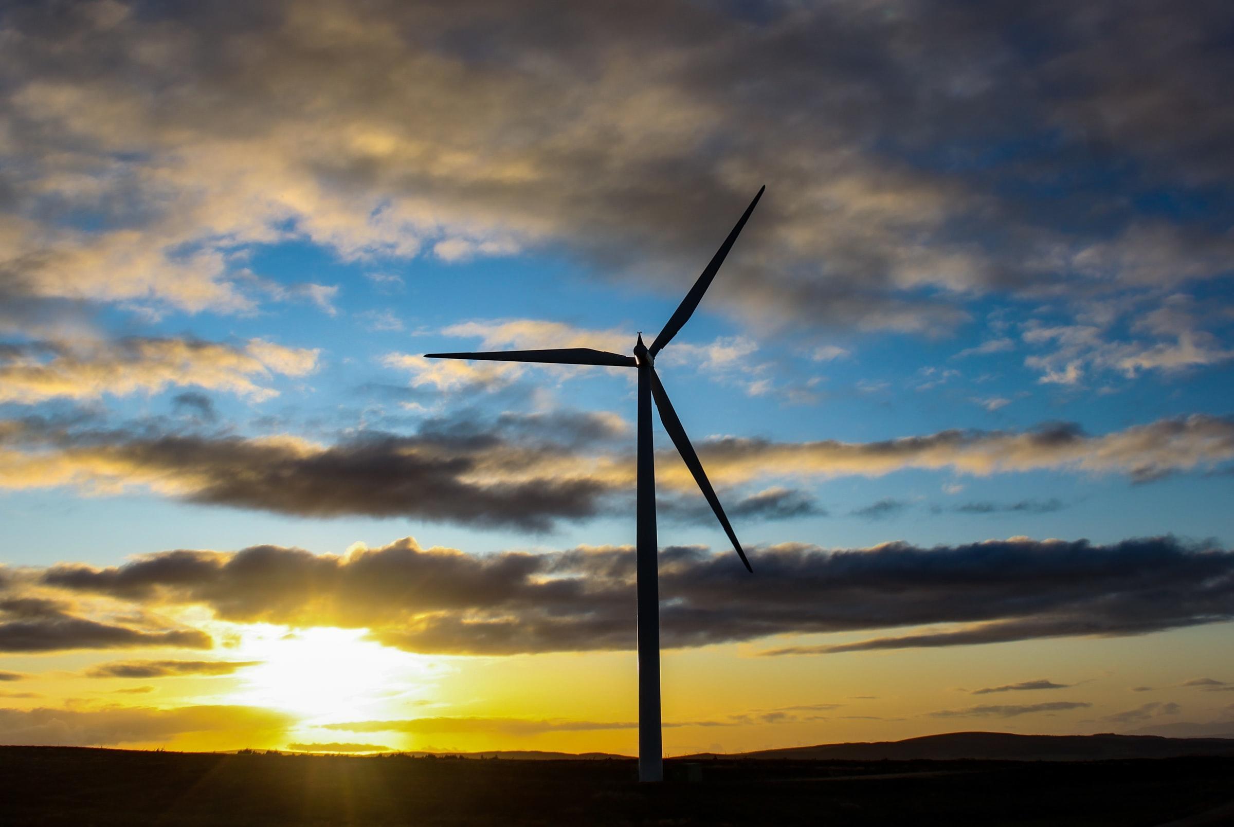 good things to do for the planet
