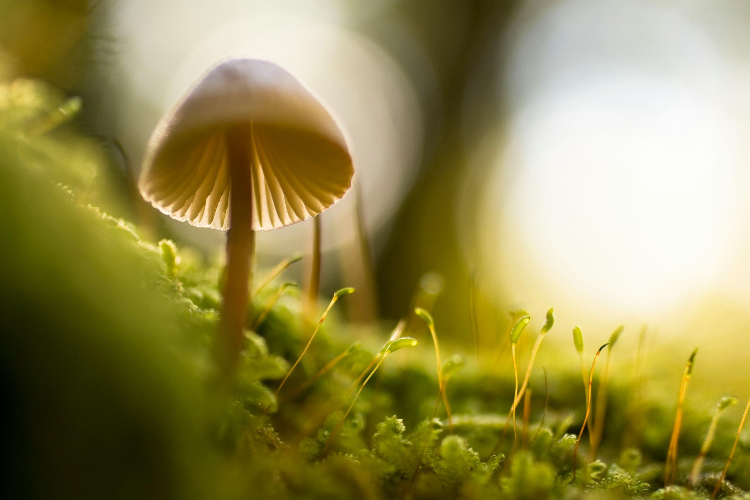 nature and science