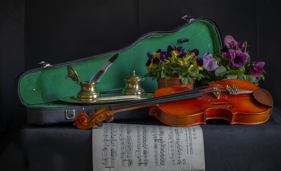 Umetnička fotografija violine.