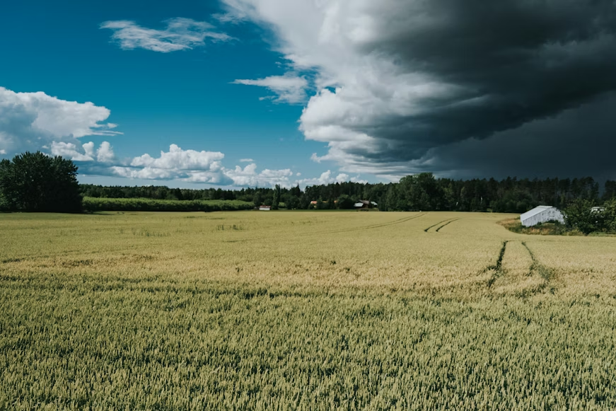 Poljoprivreda i vremenske promene.