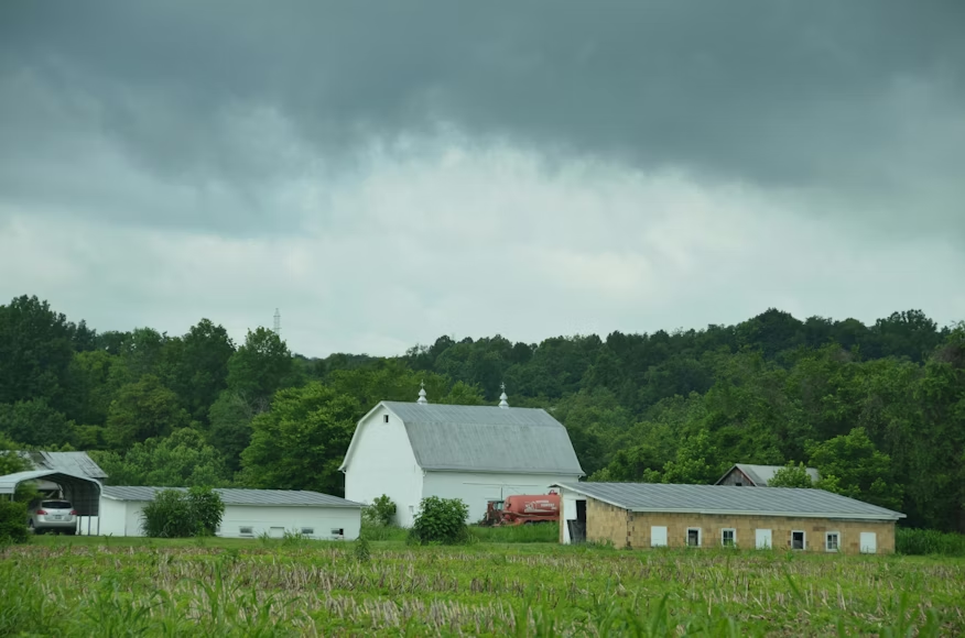 Nevreme iznad plantaže.
