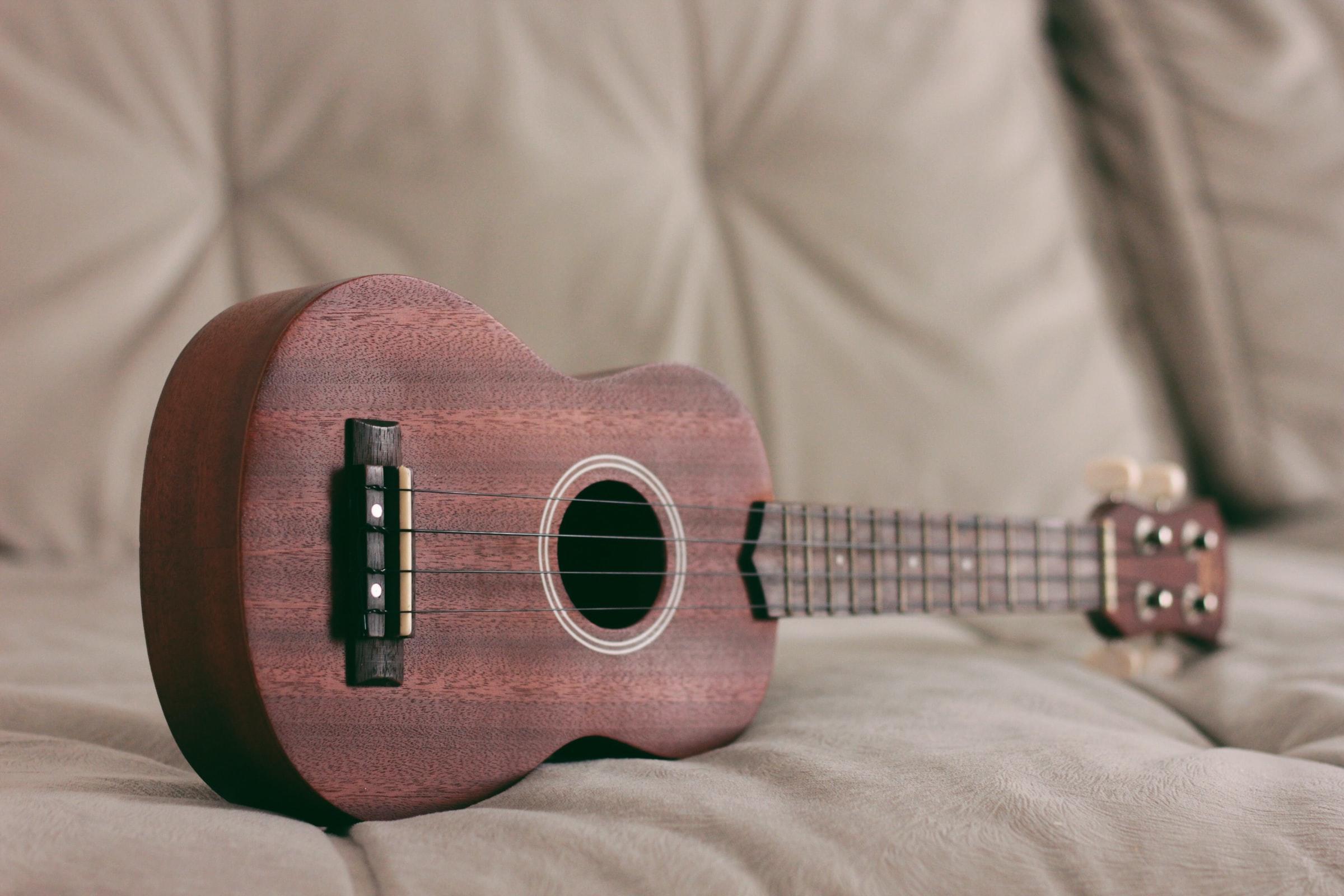 lära sig spela gitarr