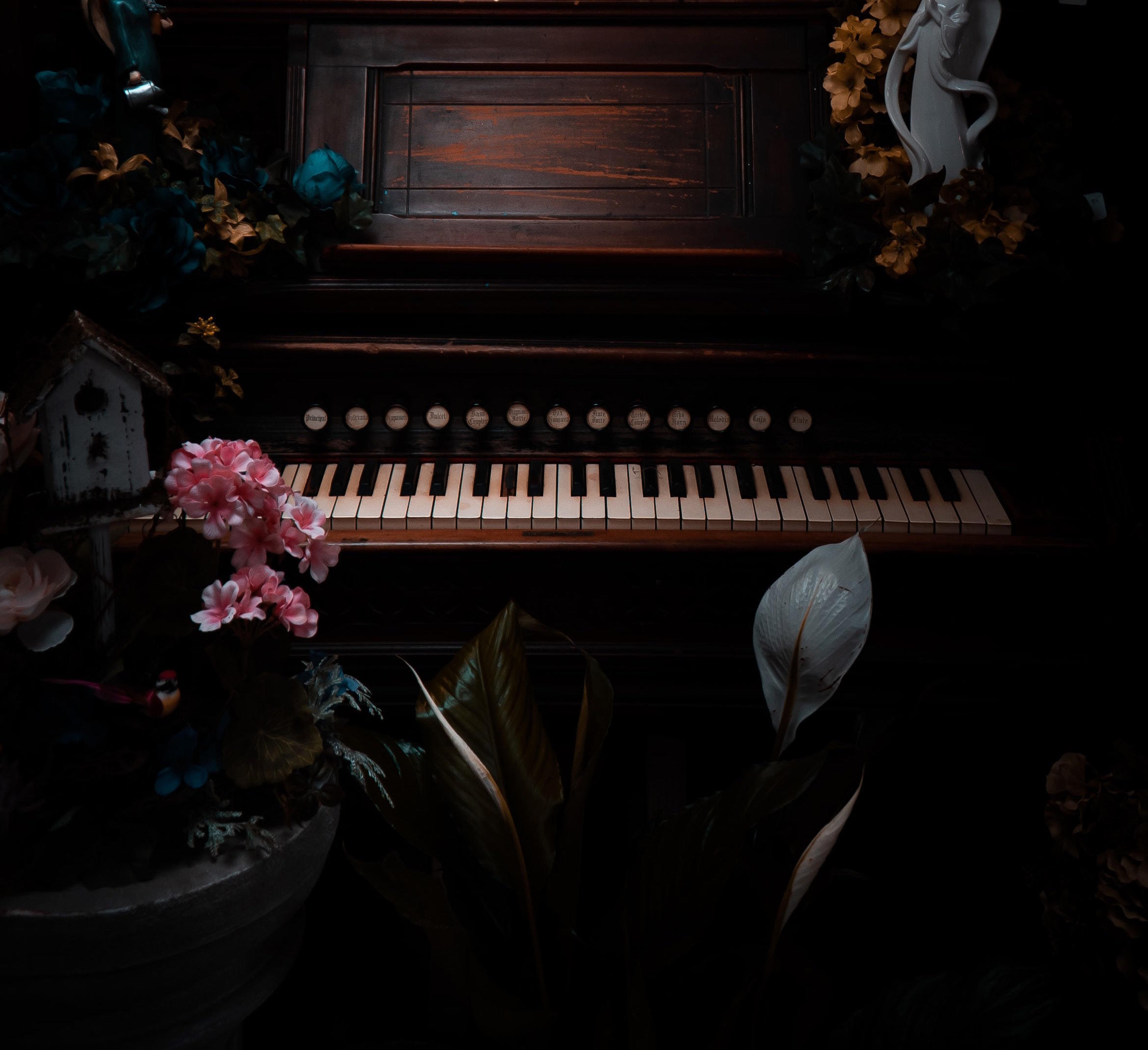 lär dig spela piano