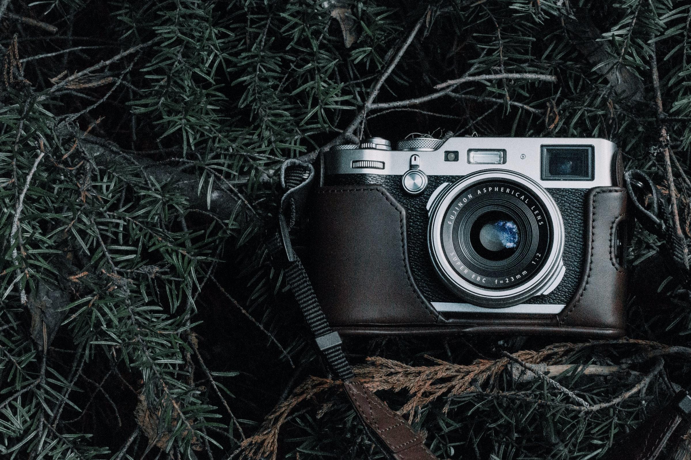 fotografering