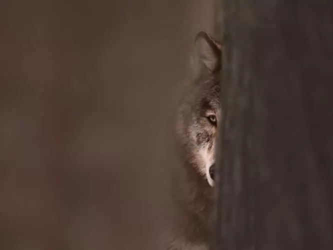 berömd fotograf Brandenburg
