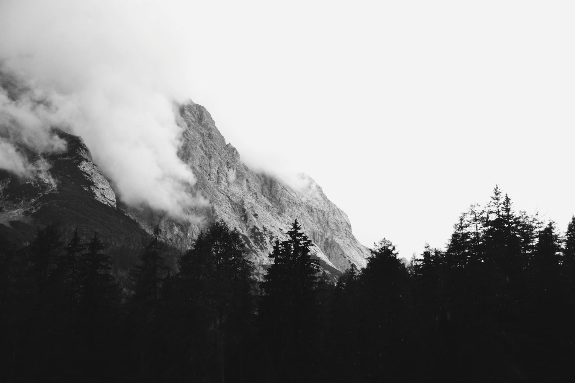 svartvitt foto mulet