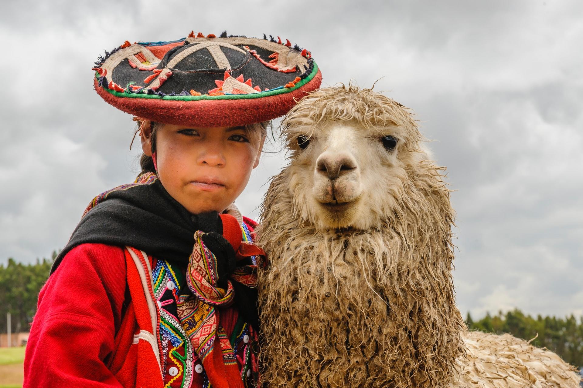 Peruansk flicka med en lama.
