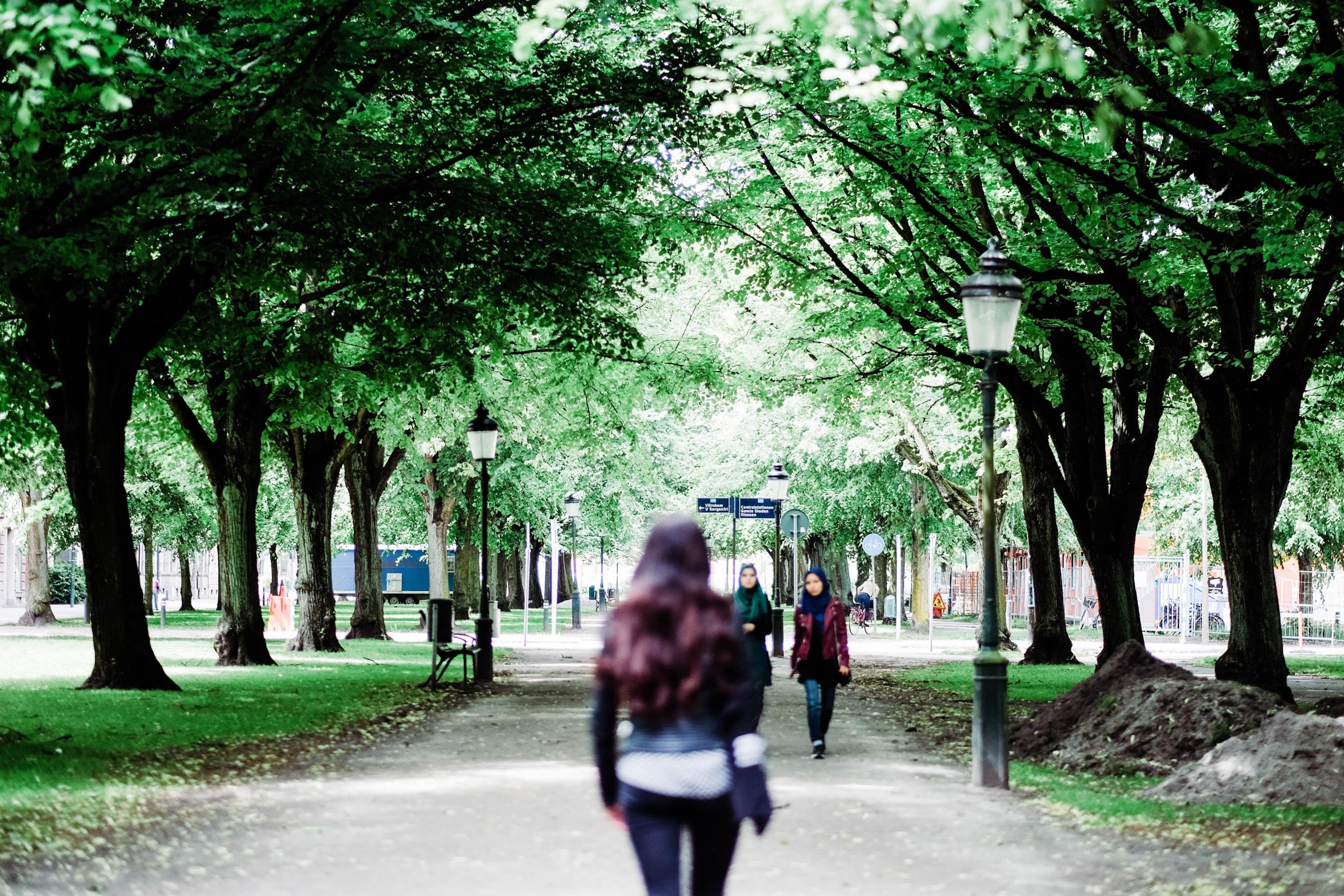 Centrala Malmö med promenadstråk och människor i rörelse. 