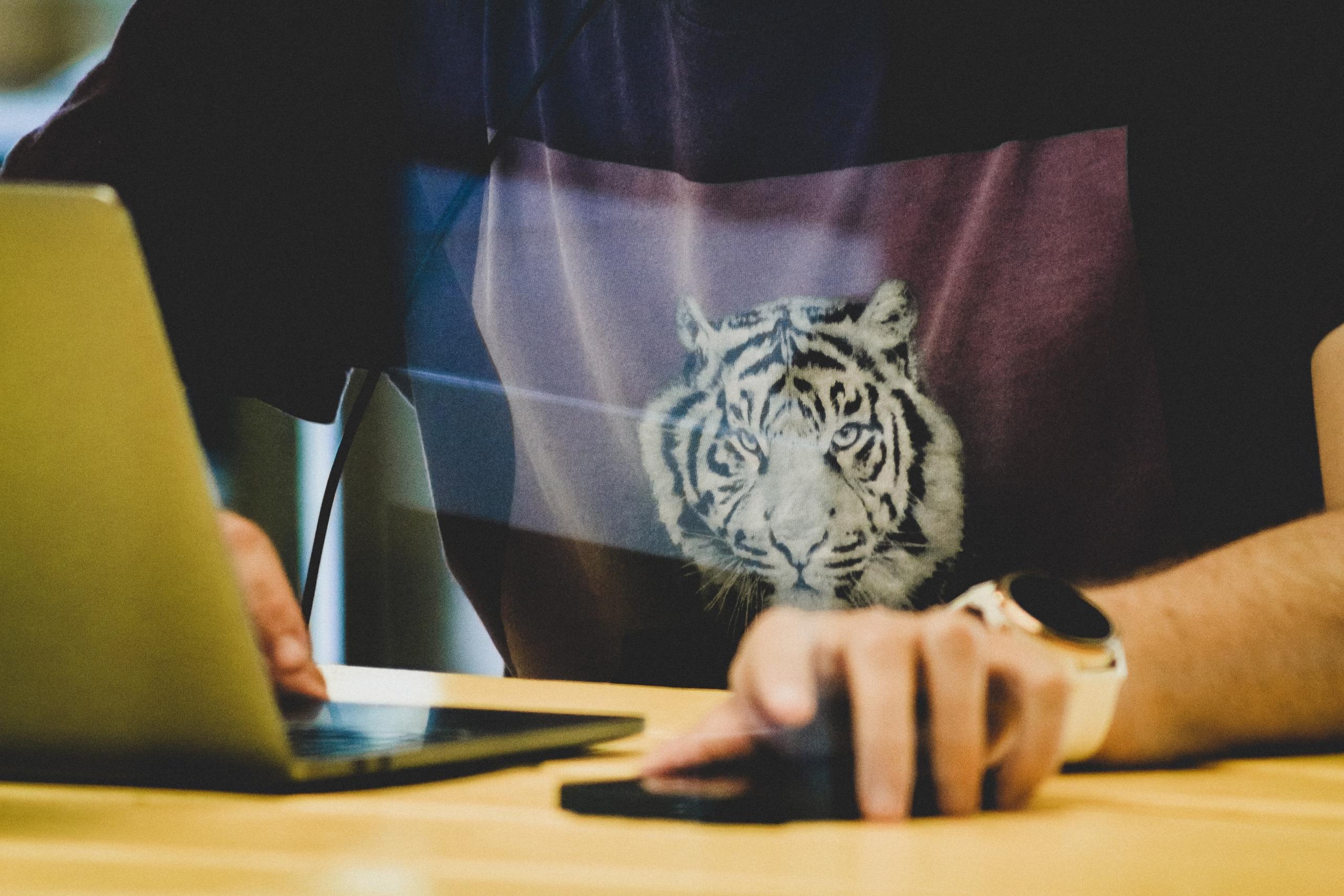Webbutvecklare arbetar med html och oss