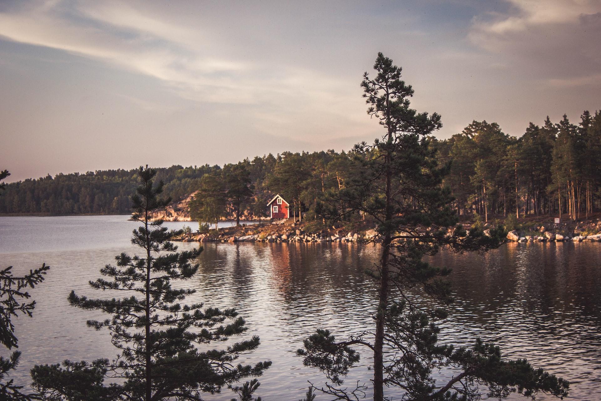 Rödmålad stuga som ligger vid svenska vatten och omringas av barrskog