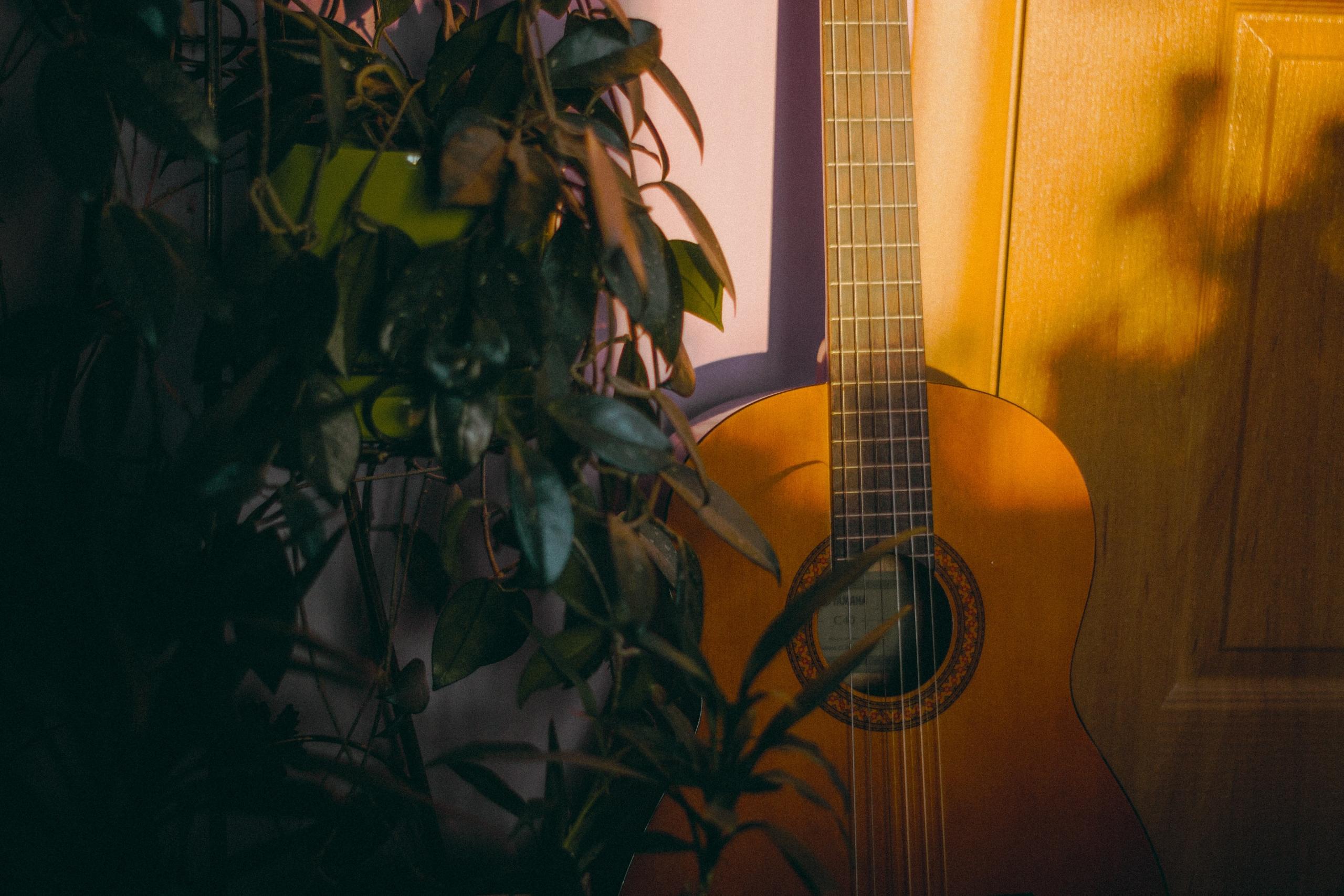 En Yamaha-gitarr står lutad mot vägger.