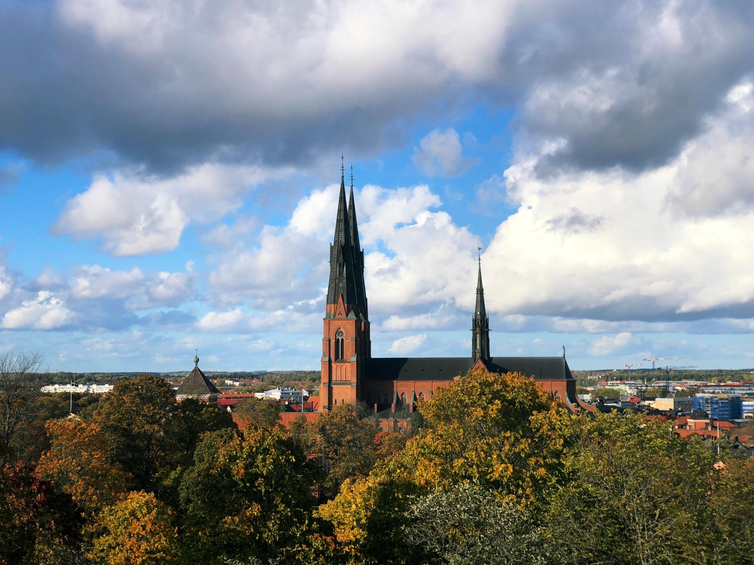 skapa en överblick av Uppsala och dess PT-utbud