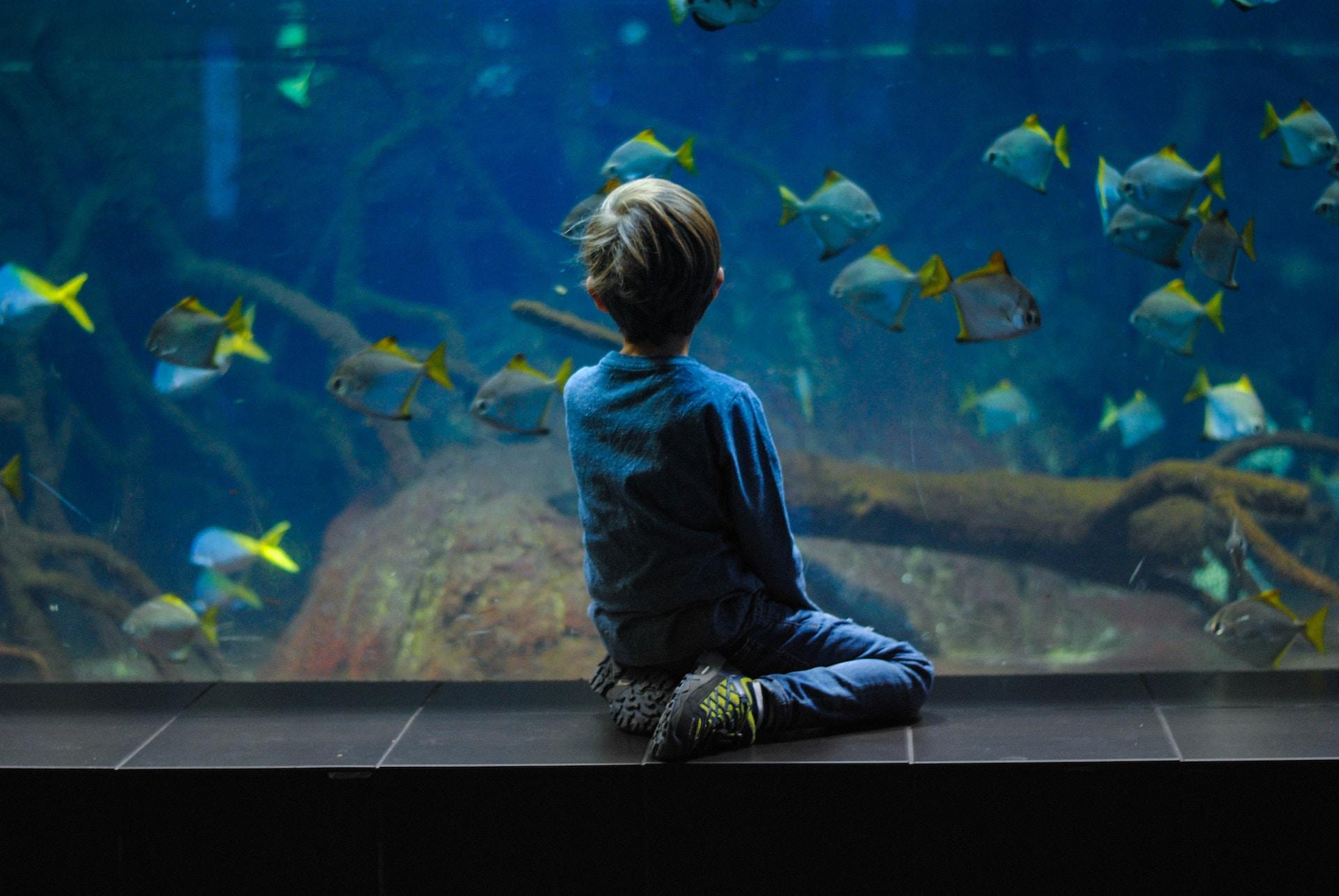 Aquarium Berlin, Berlin, Tyskland