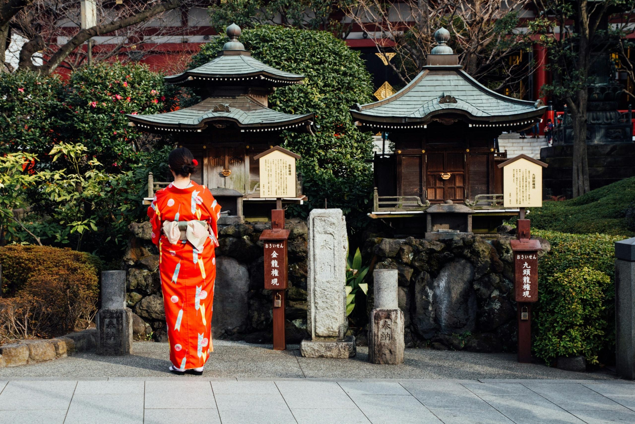 Lär dig japanska och besök dess fantastiska hemland!